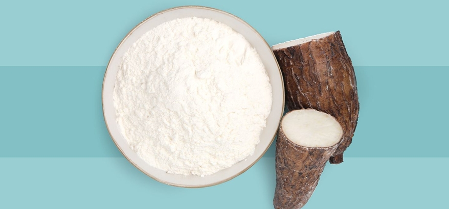 Kandungan Ampas Singkong