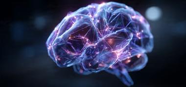 Brain Computer Interface