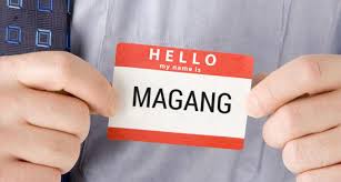 Program Magang Mahasiswa, Jembatan Menuju Dunia Profesional