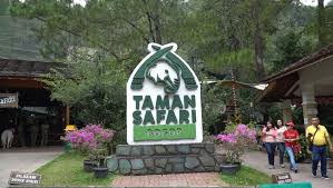 3 Tempat Wisata di Bogor Ini Masih Sepi Pengunjung, Destinasi yang Tak Biasa untuk Liburan